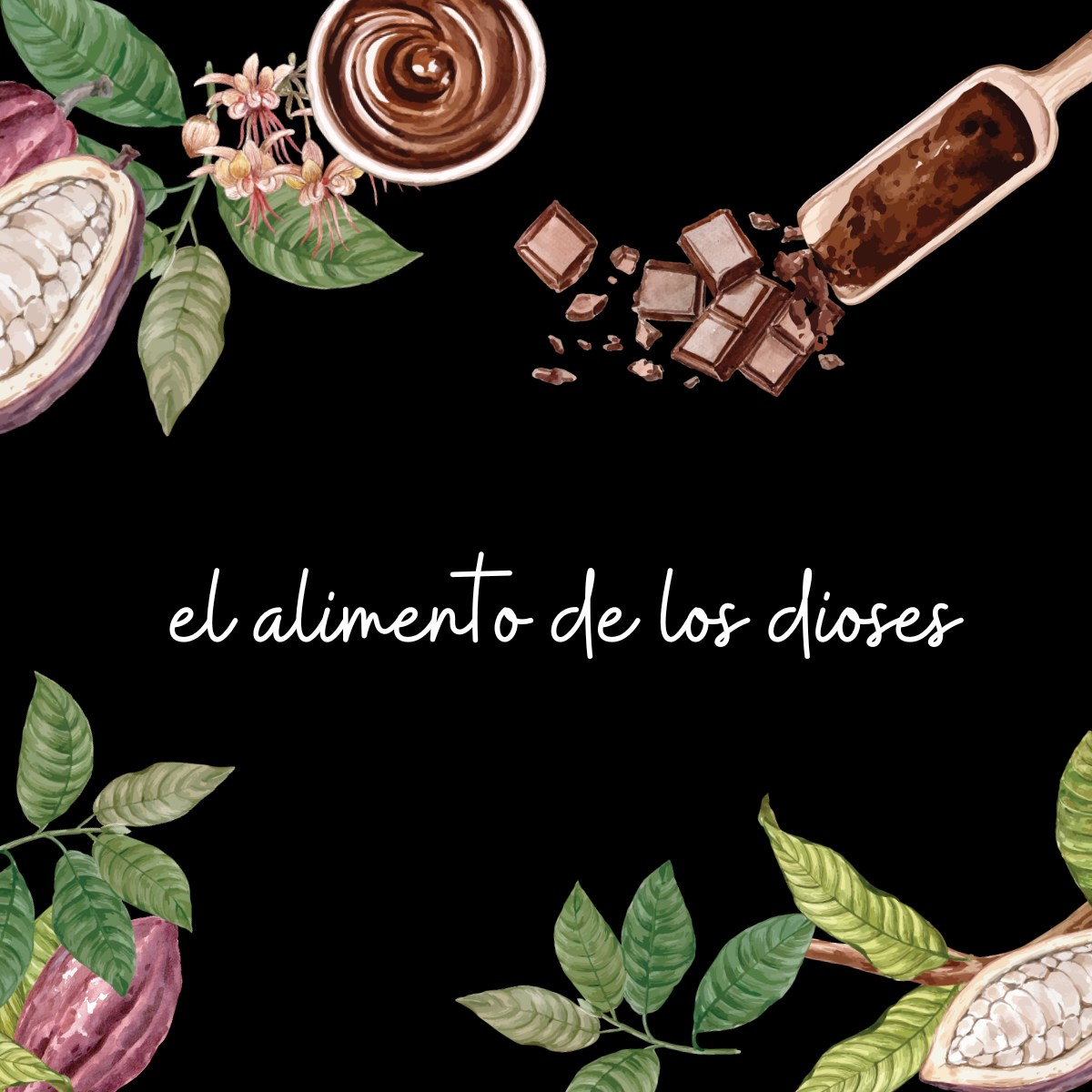 Cacao | Uniandes
