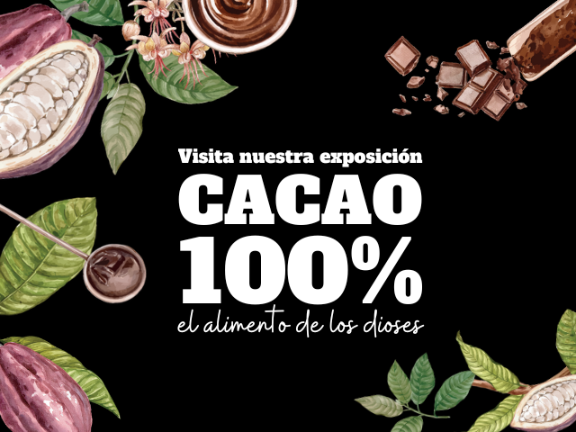 Expo cacao | Uniandes