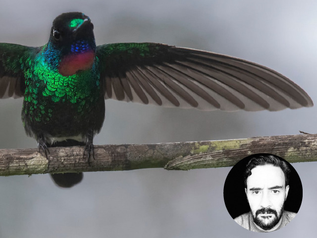 Tertuliandes Diego Torres | Uniandes 