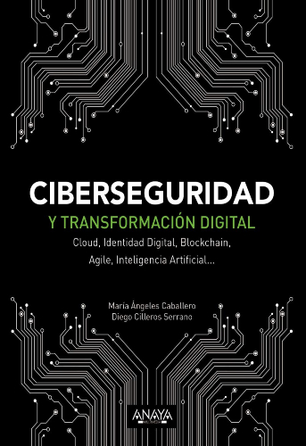 ciberseguridad-y-transformacion-digital