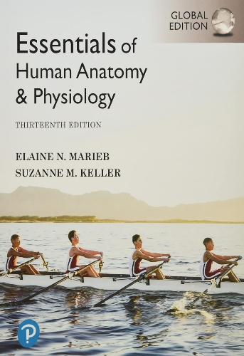 Essentials of human anatomy and physiology | Uniandes