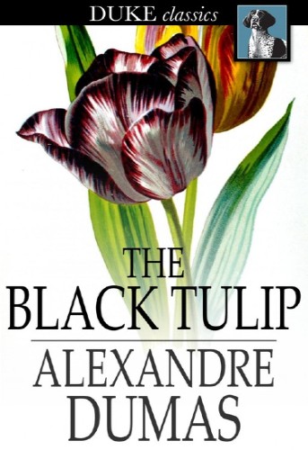 The black tulip | Uniandes