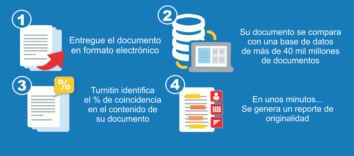 Informe sobre el plagio